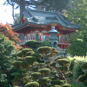 Golden Gate Park Japanese Tea Garden Tclf 
